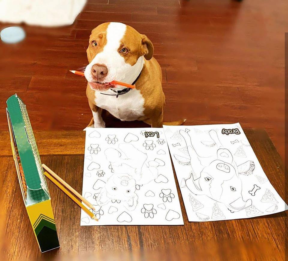Coloring Page Of Your Pet
