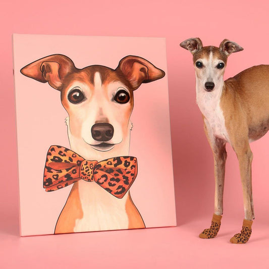 Pet Portrait