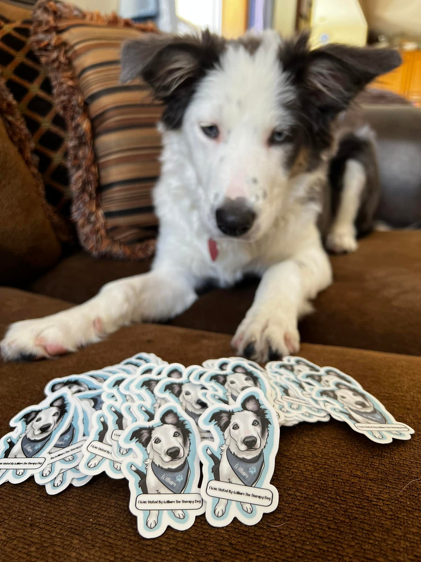 Custom Pet Sticker Design