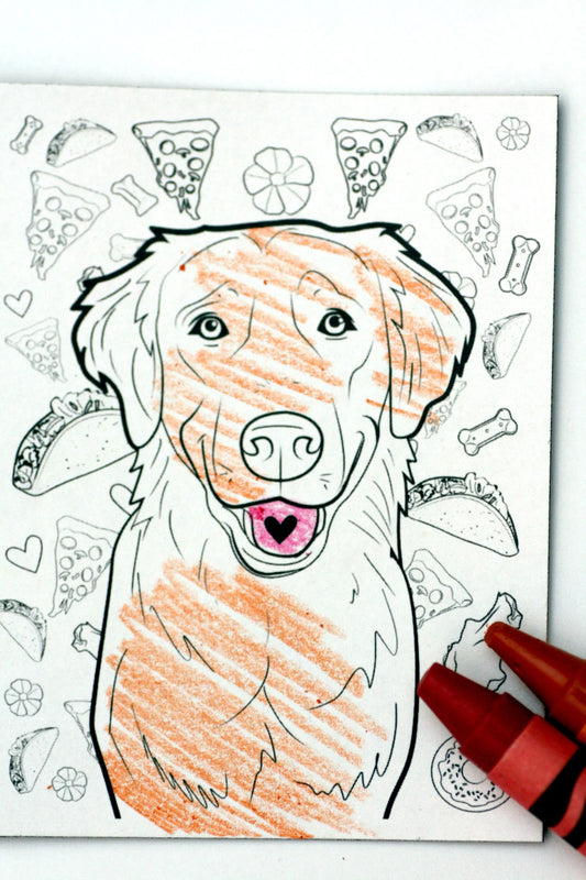 Color Me Magnet