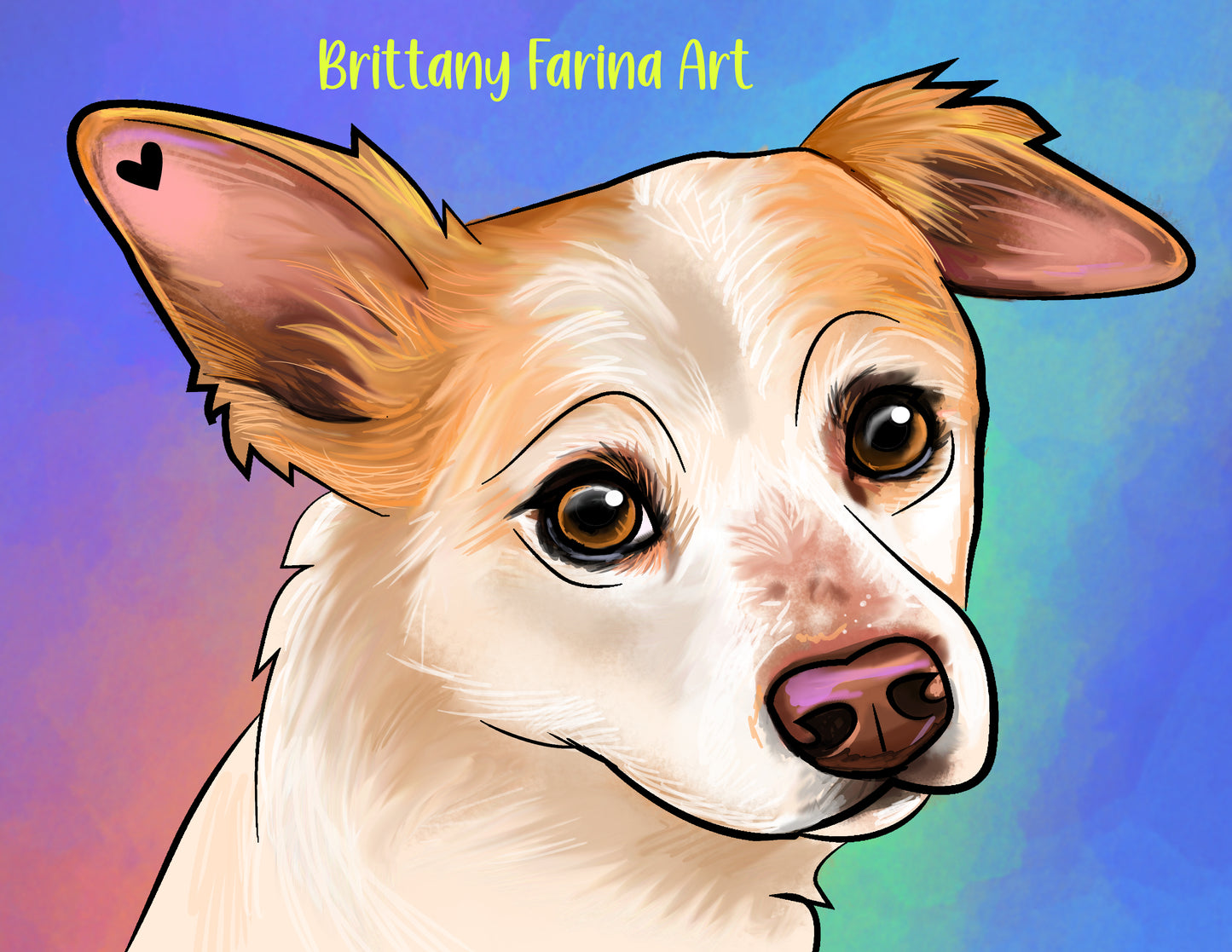 MADACC Pet Portrait Fundraiser