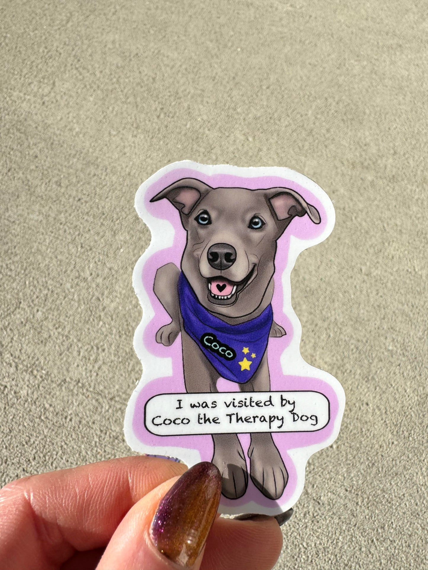 Custom Pet Sticker Design