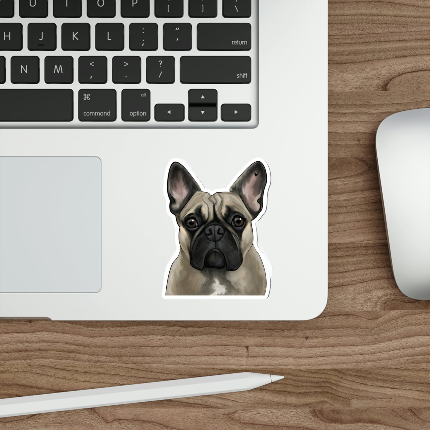 Frenchie Elise