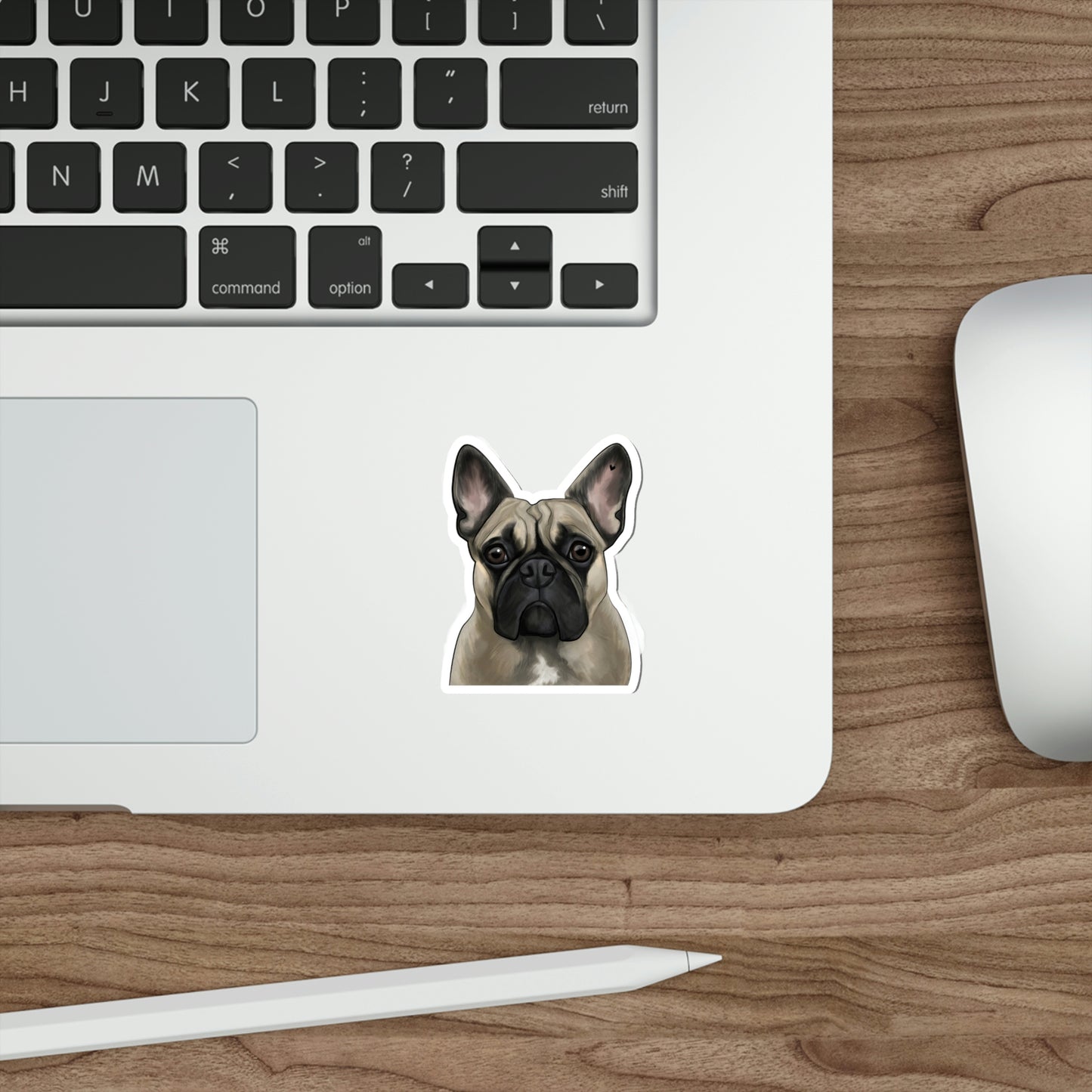 Frenchie Elise