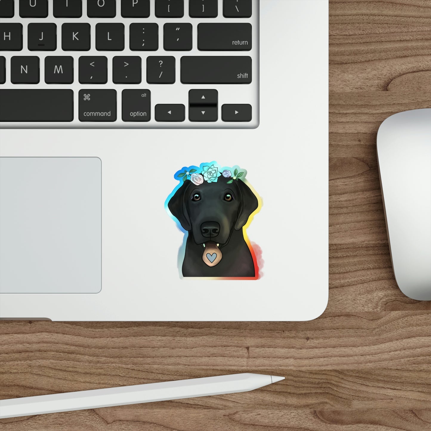 Holographic Black Lab