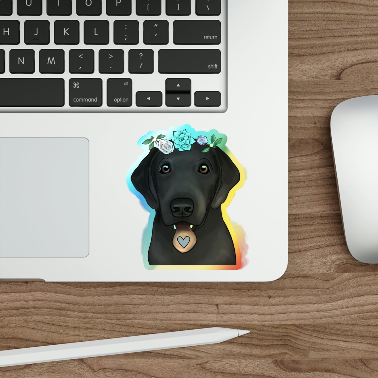 Holographic Black Lab