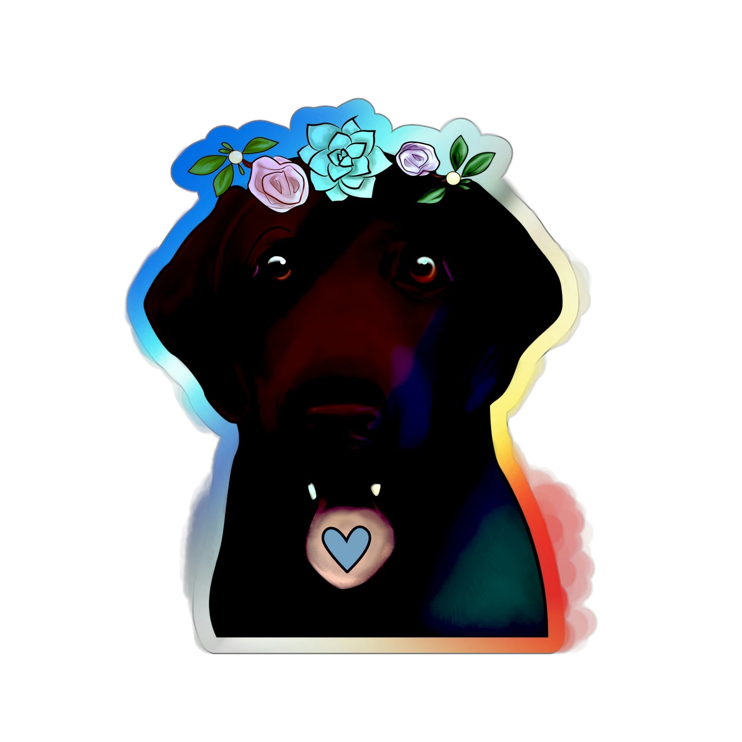 Holographic Black Lab