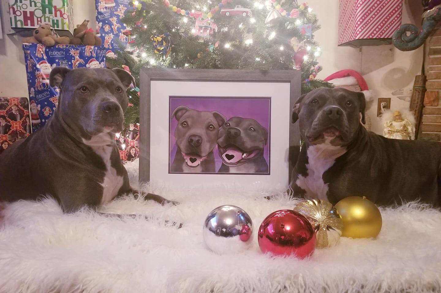 Pet Portrait (Photo Paper)