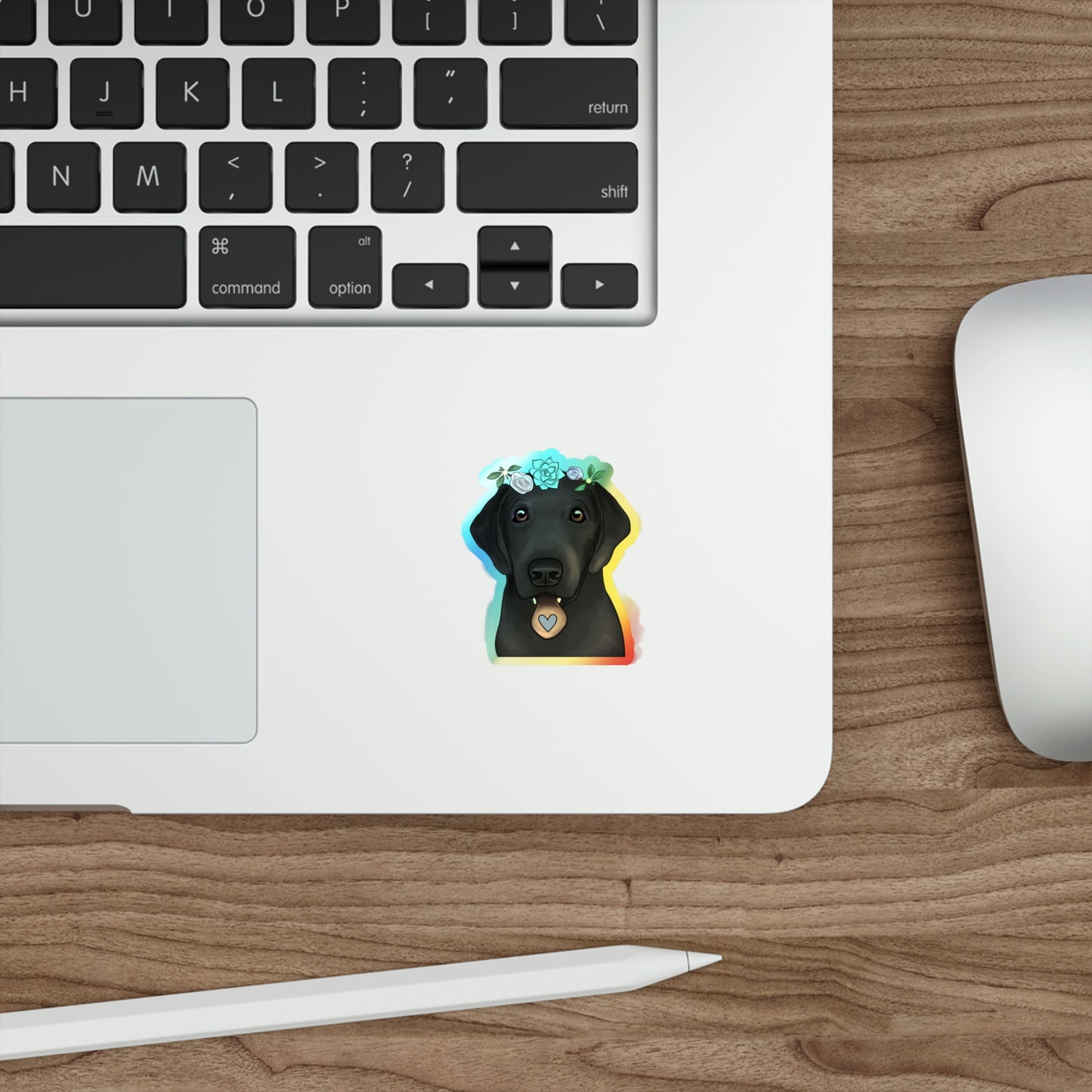 Holographic Black Lab
