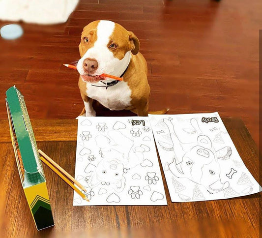 Coloring Page Fundraiser MADACC