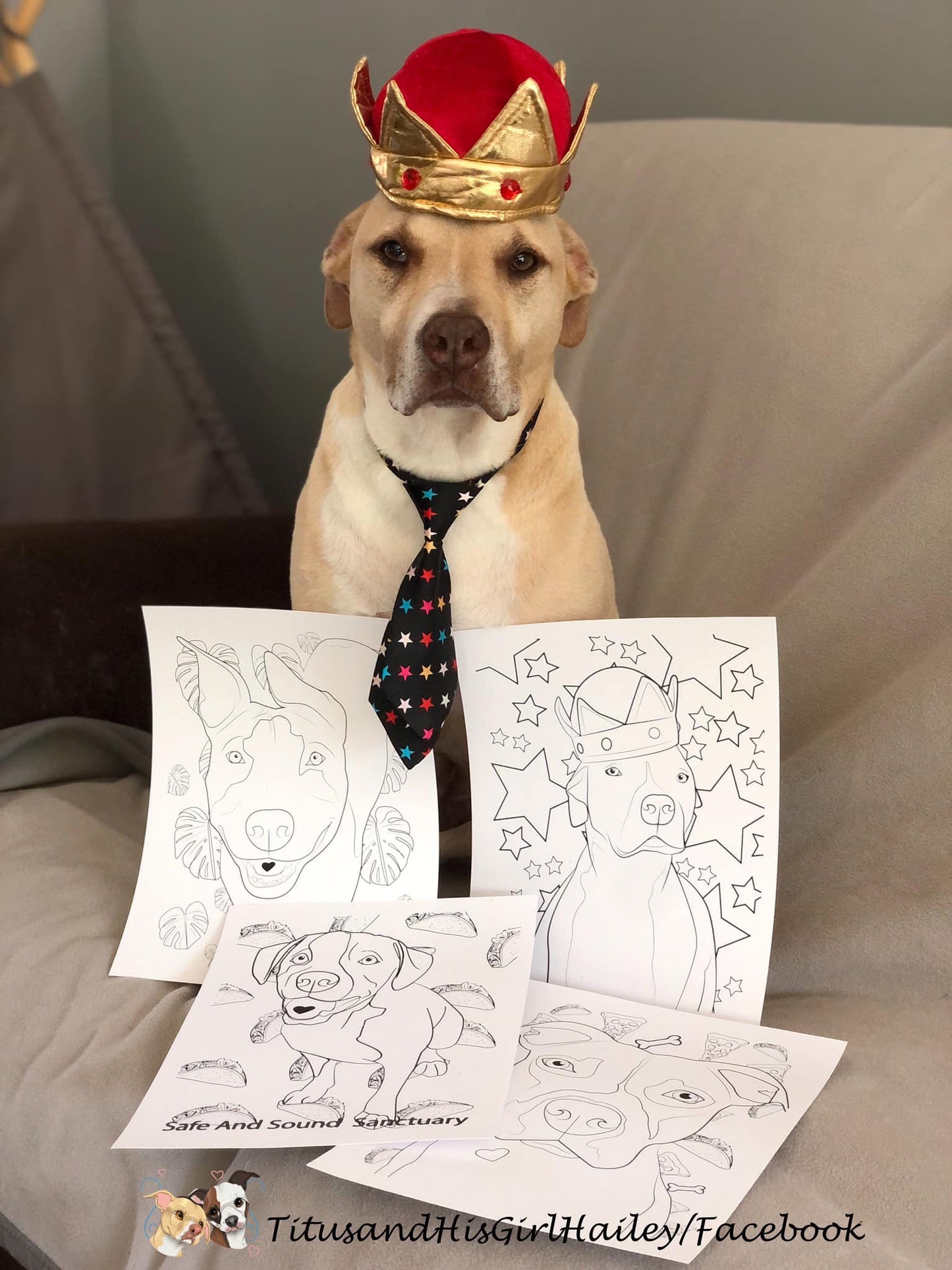 Canine Therapy Corps Coloring Page