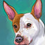 Winston's Wishes Pet Portrait Fundraiser