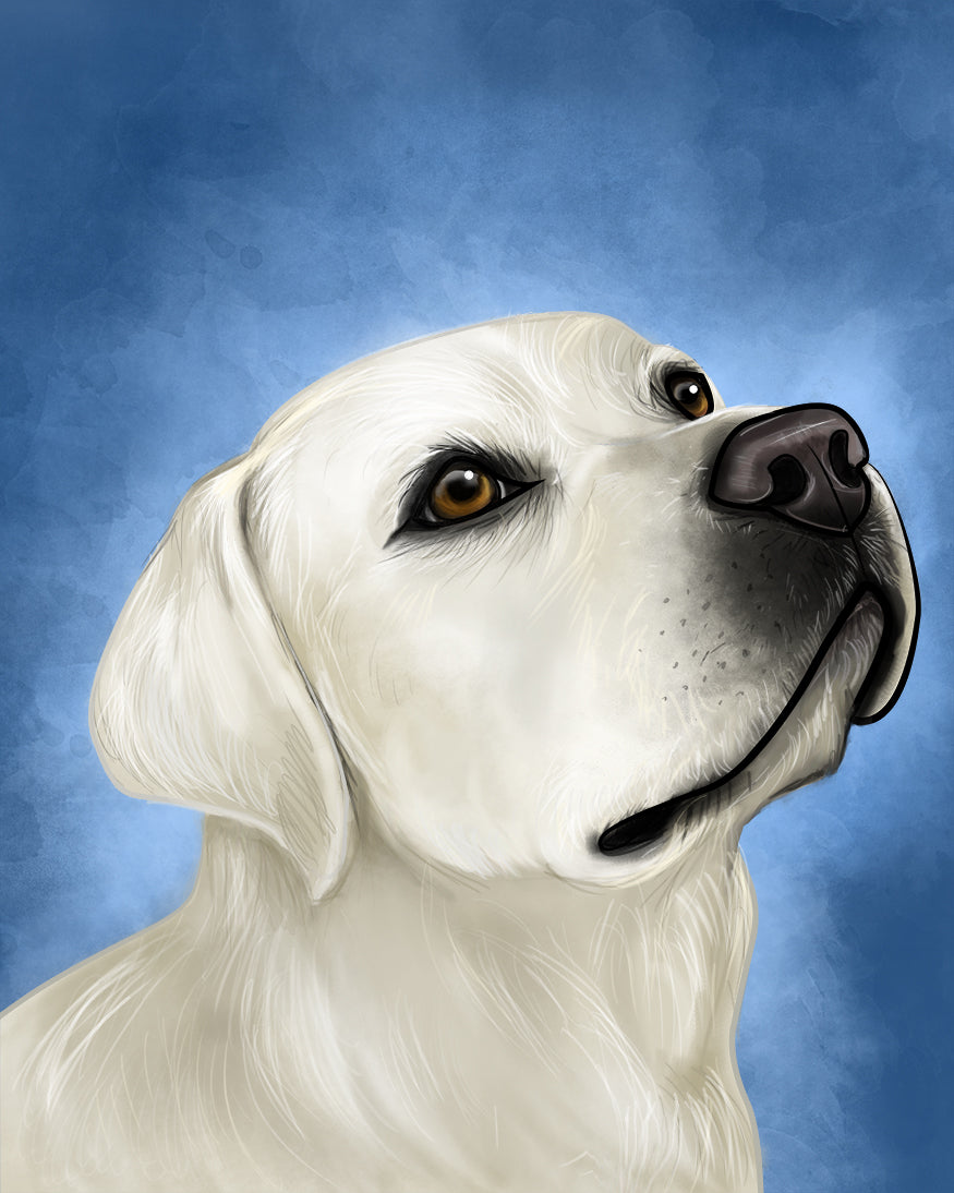 White dog with a blue background