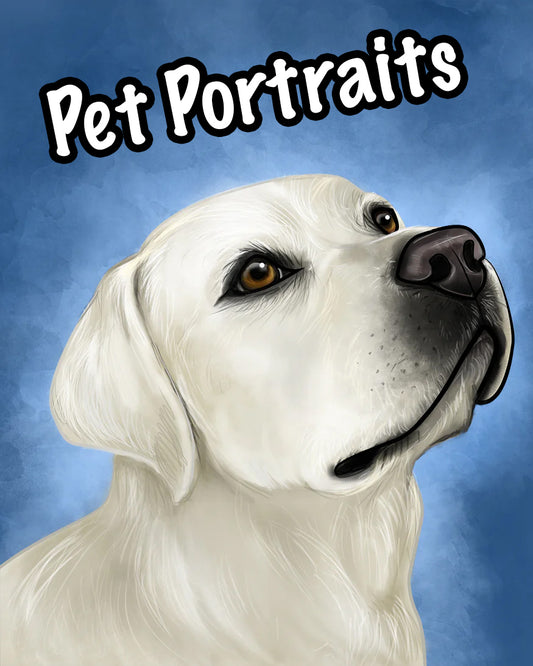 Pet Portrait