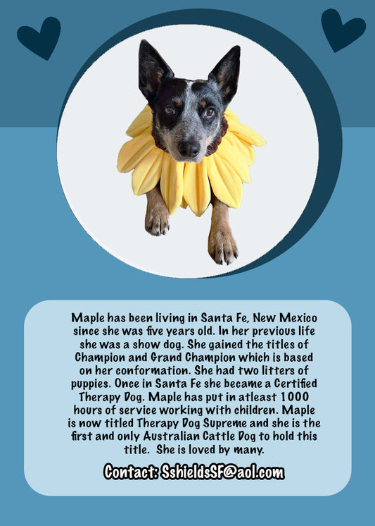 Therapy Dog Trading Card Design