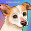 Winston's Wishes Pet Portrait Fundraiser