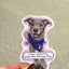 Custom Pet Sticker Design