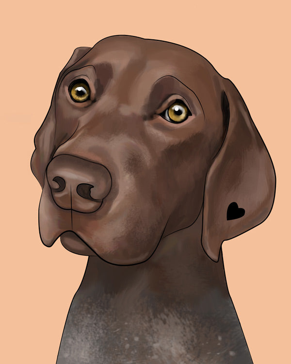 Canine Therapy Corps